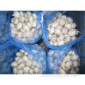 Loose Bag Normal white garlic of 10kg